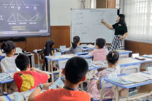 未來魔法校加盟費(fèi)用及教育科技技術(shù)服務(wù)詳解